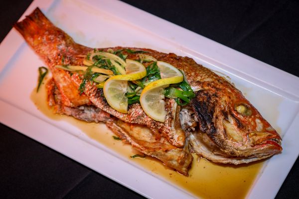 Grilled Snapper