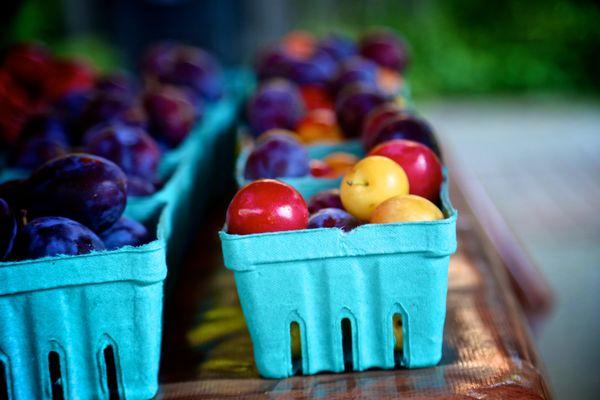 North Center Farmer's Market