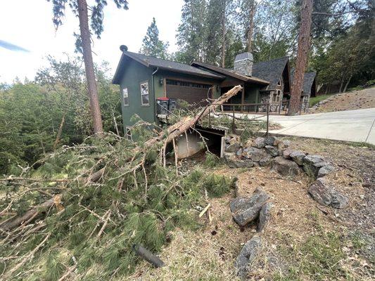 Helped a customer remove a tree that had fallen on their driveway.