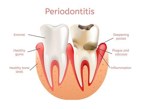 Payal Kshatriya ,DDS