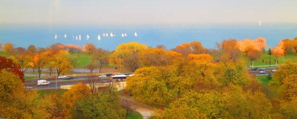 Lake Shore Drive