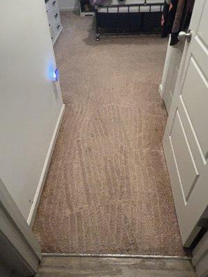 Pro Steam Carpet Cleaning