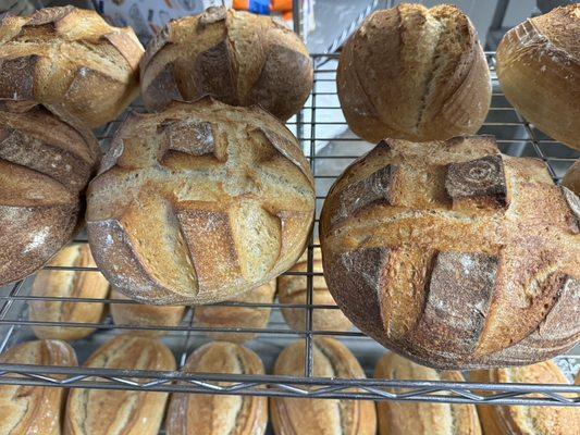 Giovanni's Sourdough Loaf