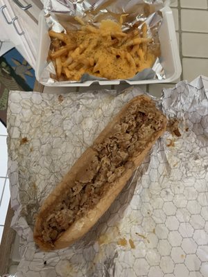 10" chicken cheesesteak with extra meat and cheese fries