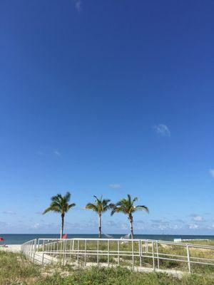 Beach Yoga Pinellas