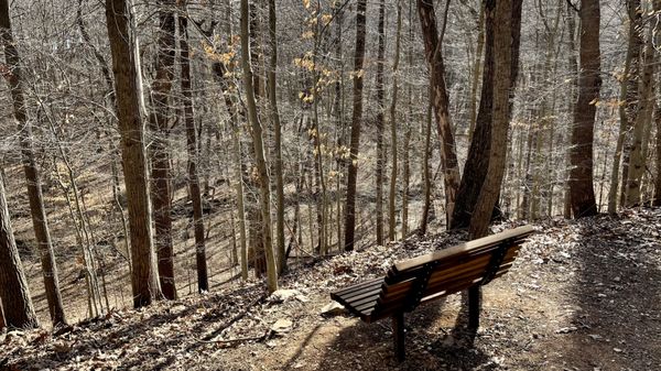 Little Bennett Regional Park