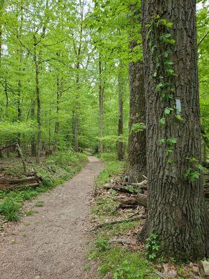 Good trail markers here