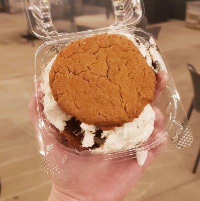 Ice cream sandwich