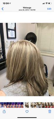 Color , cut and hilites --dark blonde and light blonde