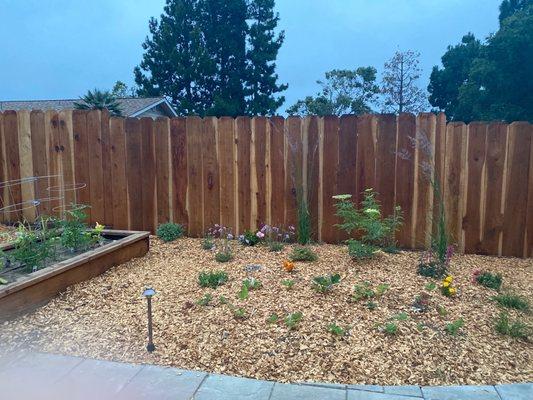 Edible landscaping and planter box.