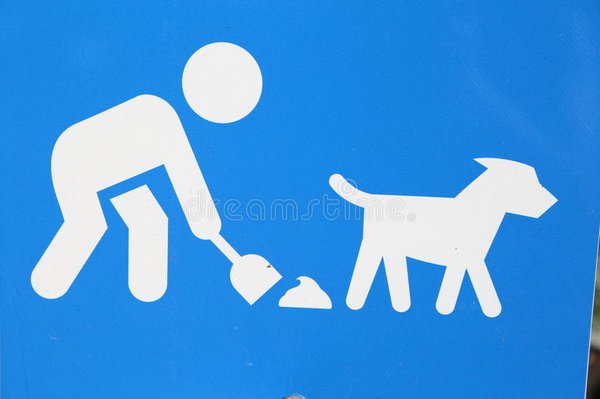 We Clean up
 After your Pet