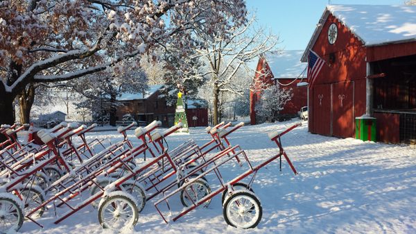 Tree carts!