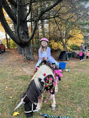 Hogback Mountain Pony Rides