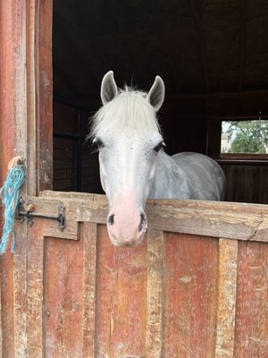 Innova Riding Stables