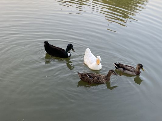 Colleyville Nature Center