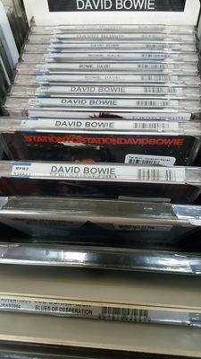 Lotsa Bowie available!