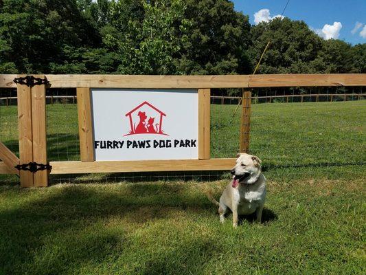 Furry Paws Lodge