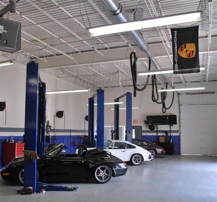 Three beauties in the shop.