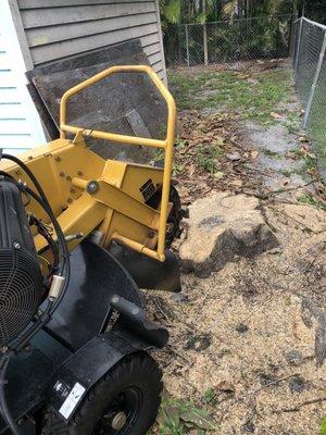 Stump grinding service