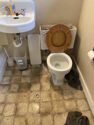 My broken toilet