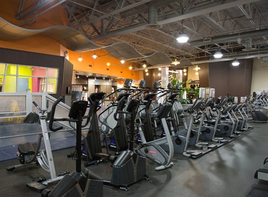 Ample cardio equipment at our Mill Basin gym.