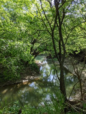 Nice flowing creeks