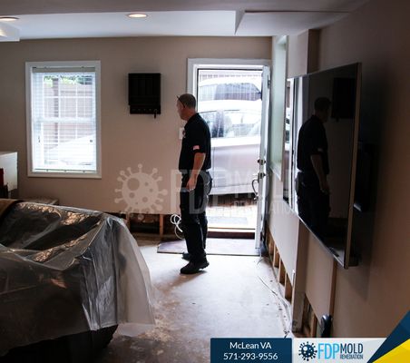 FDP Mold Remediation of McLean