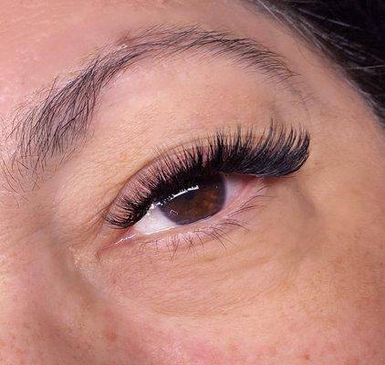 Volume Lash Extension