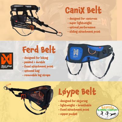 Non-stop Dogwear Belts for running hands free with your dog! Come and test them out.