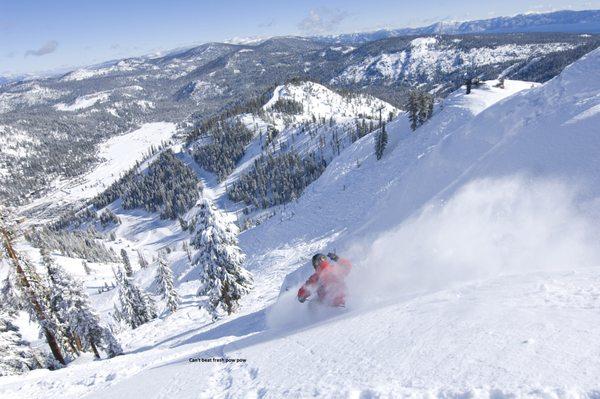 Fresh Powder Day in Tahoe