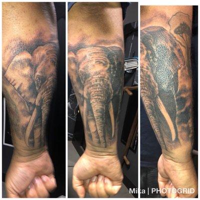 Elephant on the back of the forearm. I tried to get the entire tattoo in one photo but couldn't. But this a coverup. Can't tell right?!