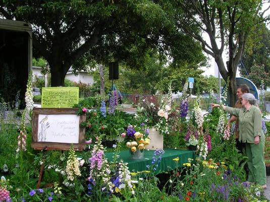 Meadowlark Nursery and Landscaping