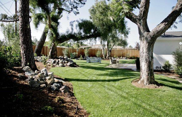 Landscaping & Backyard design Costa Mesa, CA