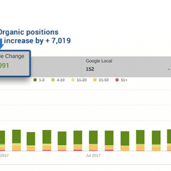 SEO Case Study