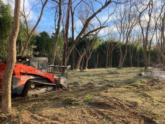 Even when the ground is muddy, our forestry mulcher has no trouble!