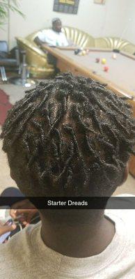 Starter dreads