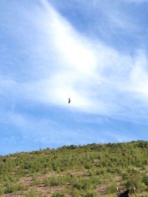 Lehigh Gap Nature Center