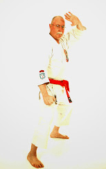 Isshin Ryu School of Karate