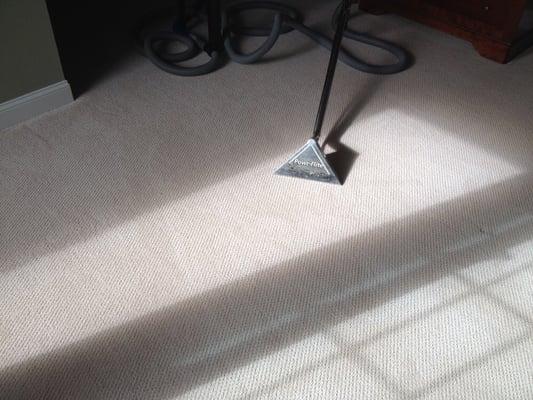 Berber Carpets cleaned