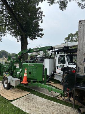 Truck, chipper and tree to be removed