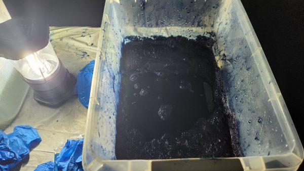 Indigo dyeing activity