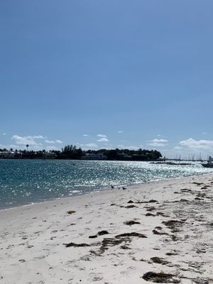 Beach view from the island