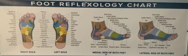 Reflexology