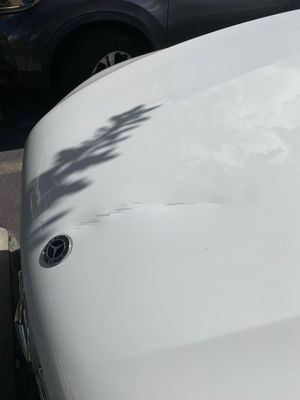 Damaged Hood Before Repair 1