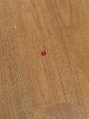 Blood left on a freshly moped floor.