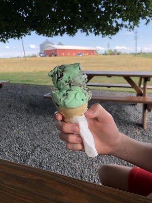 Mint moose tracks, small after a few bites