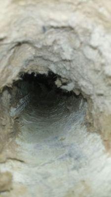 Dryer Vent was supposedly cleaned by Accurate Care Services in Port St. Lucie, FL. 10 minutes in and out doesn't get the job done!