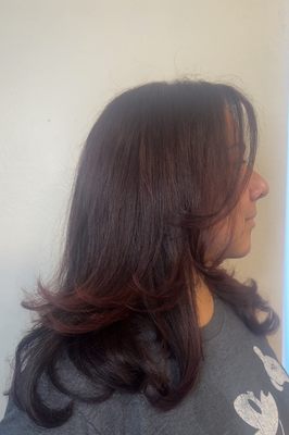 Red Wine Haircolor Long Face-Framing Layers Blowout by Liliana