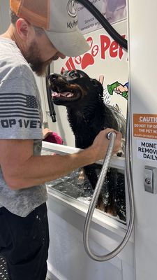 Dog wash