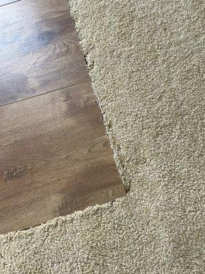 Loose laminate. Bounces and squeaks when stepped on